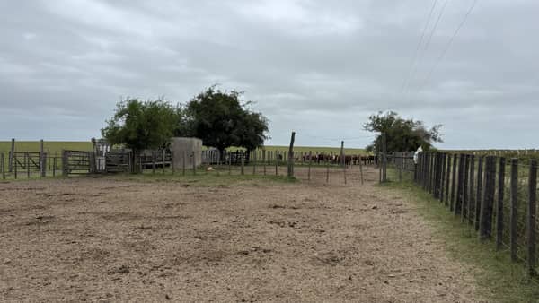 652 hectáreas. Agrícola Ganadero en Tacuarembó Uruguay